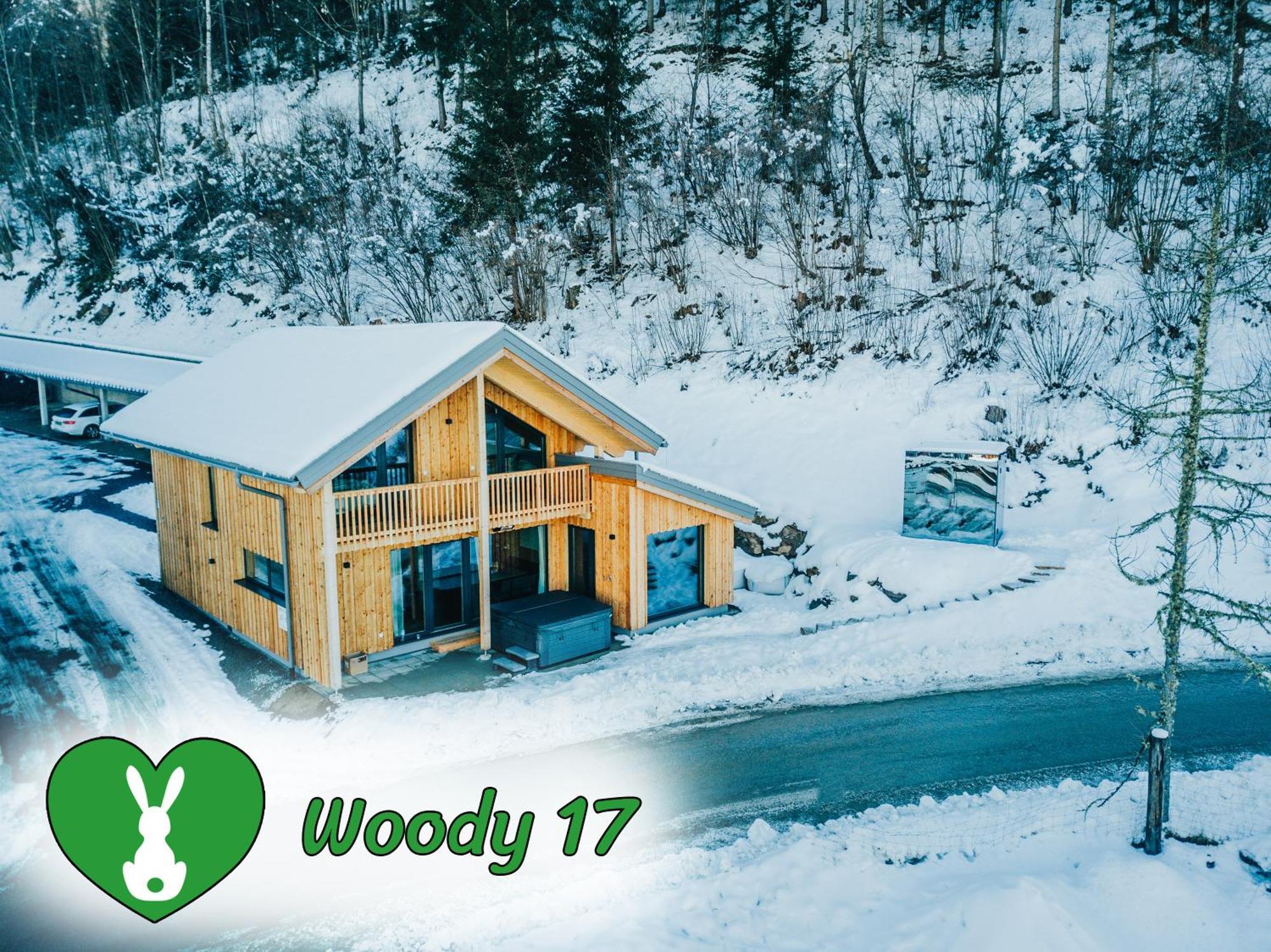 Woody Park Villa Санкт Георген об Мурау Екстериор снимка