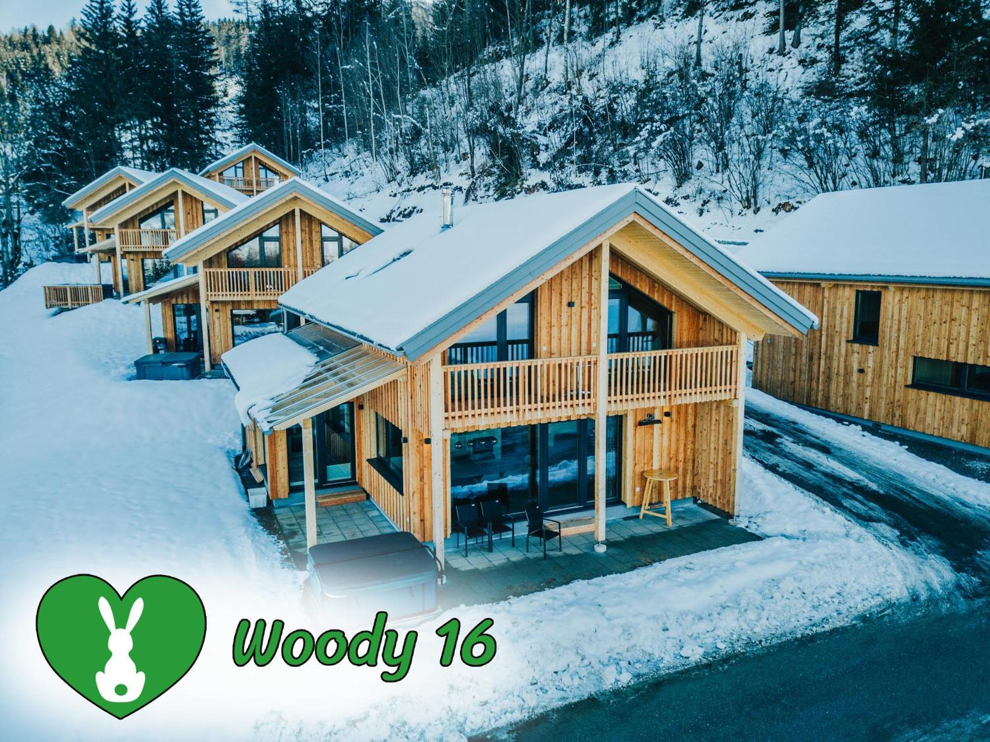Woody Park Villa Санкт Георген об Мурау Екстериор снимка