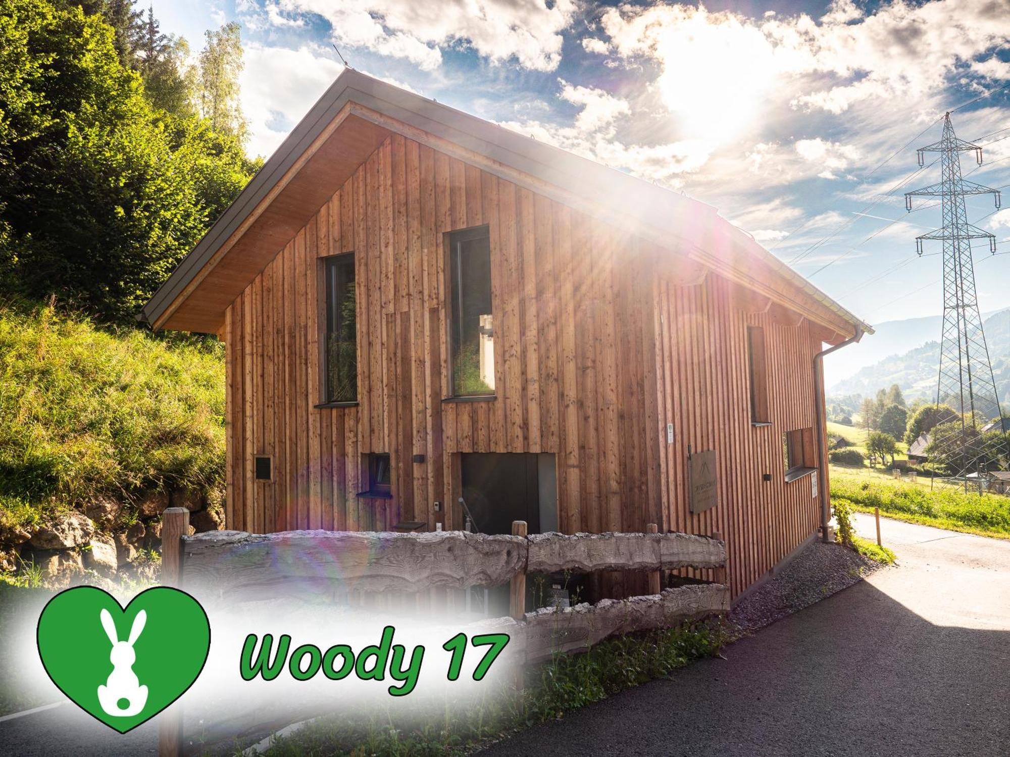 Woody Park Villa Санкт Георген об Мурау Екстериор снимка