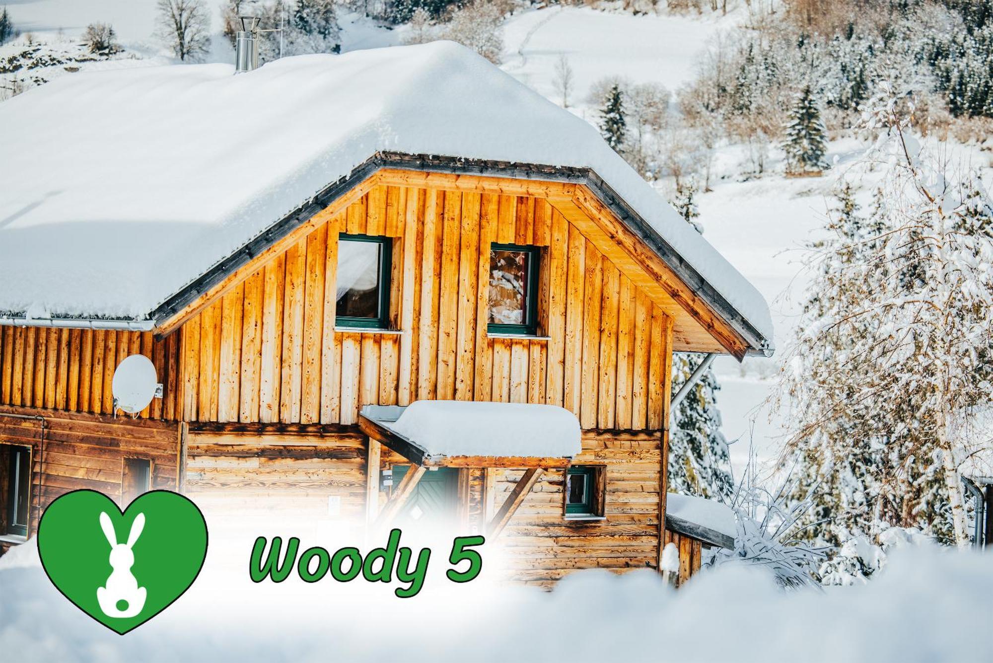Woody Park Villa Санкт Георген об Мурау Екстериор снимка