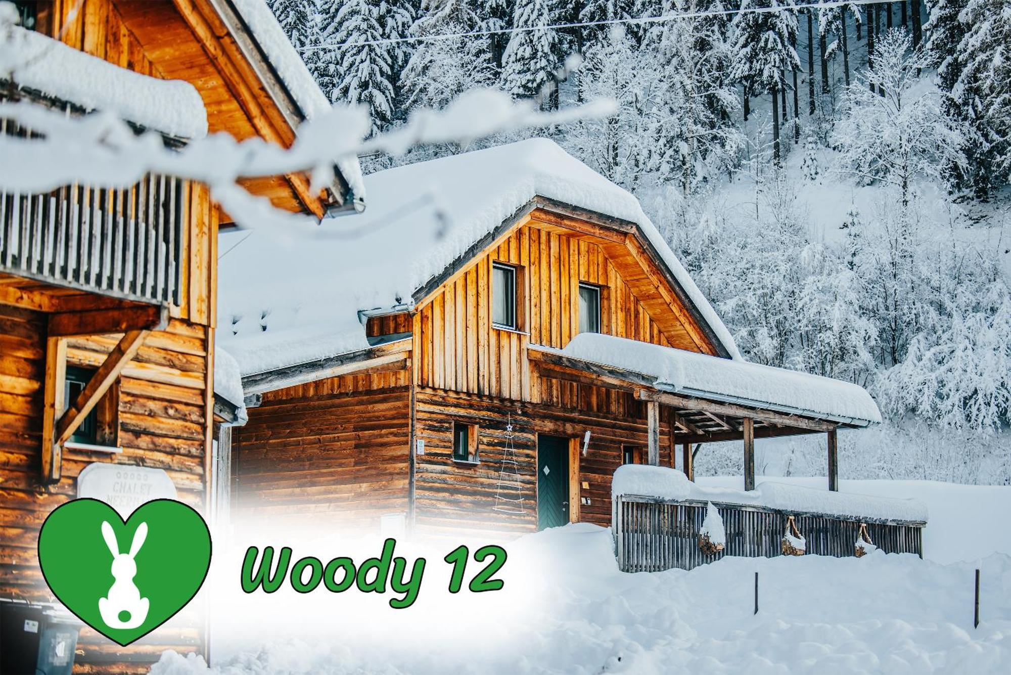 Woody Park Villa Санкт Георген об Мурау Екстериор снимка